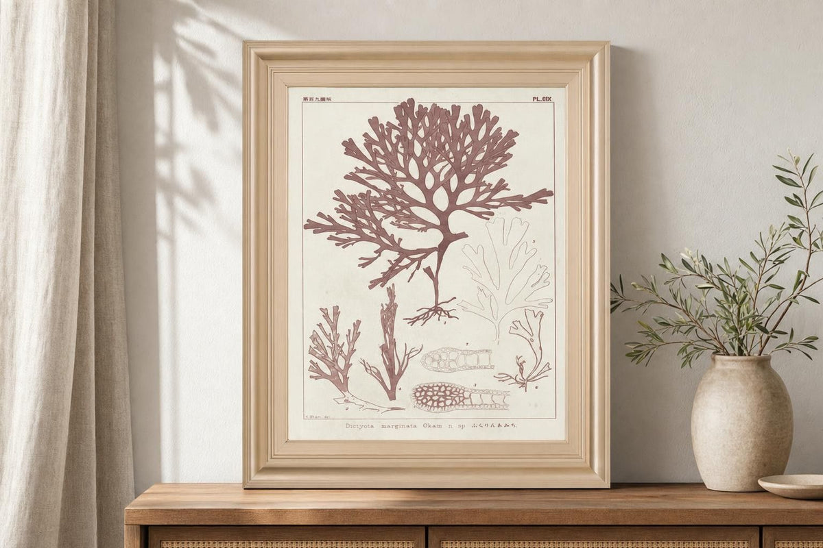 22x26 Antique Coral Seaweed II By Vision Studio - Pink