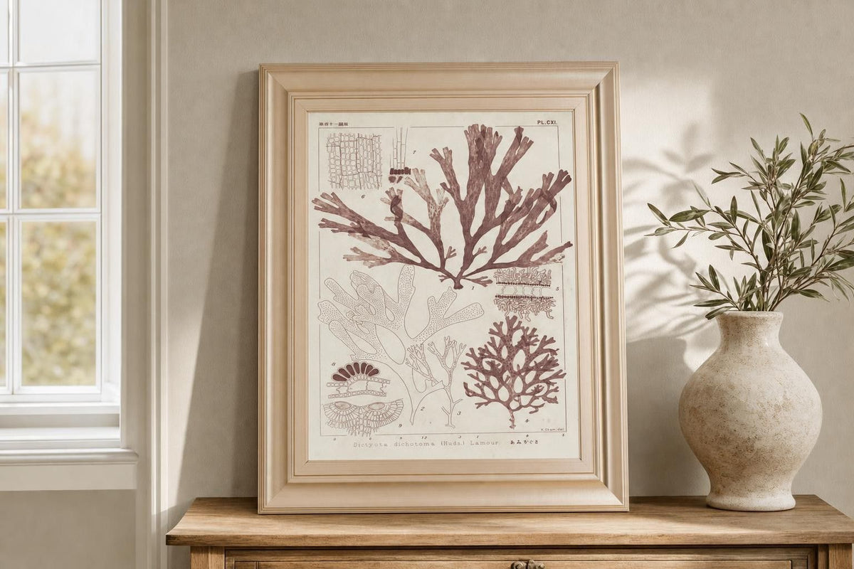 22x26 Antique Coral Seaweed IV By Vision Studio - Pink