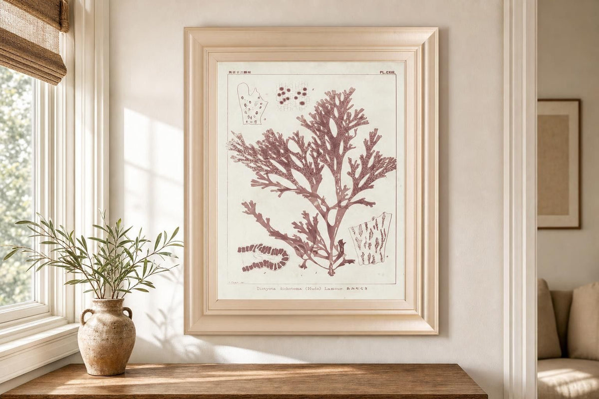 22x26 Antique Coral Seaweed I By Vision Studio - Pink