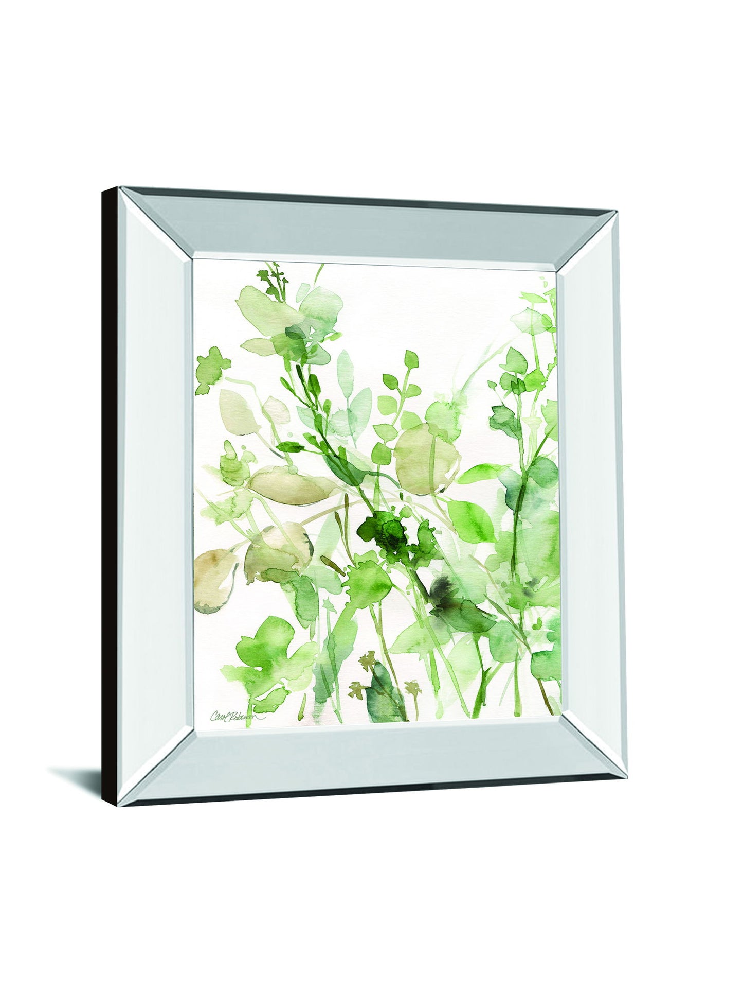 Sage Garden II By Carol Robinson - Mirror Framed Print Wall Art - Green