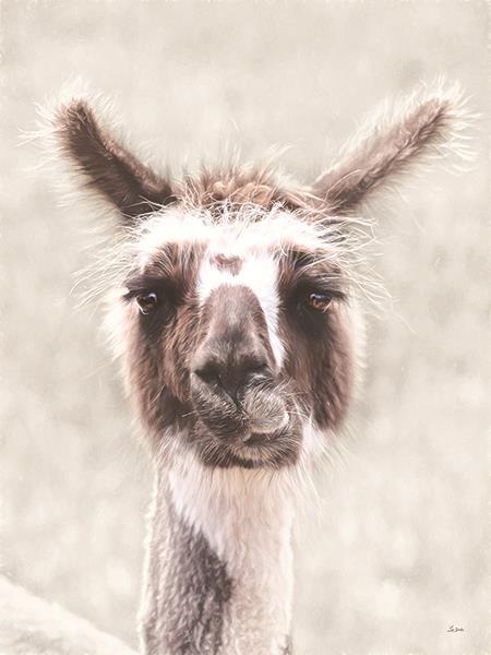 Quizzical Alpaca By Lori Deiter - Pearl Silver