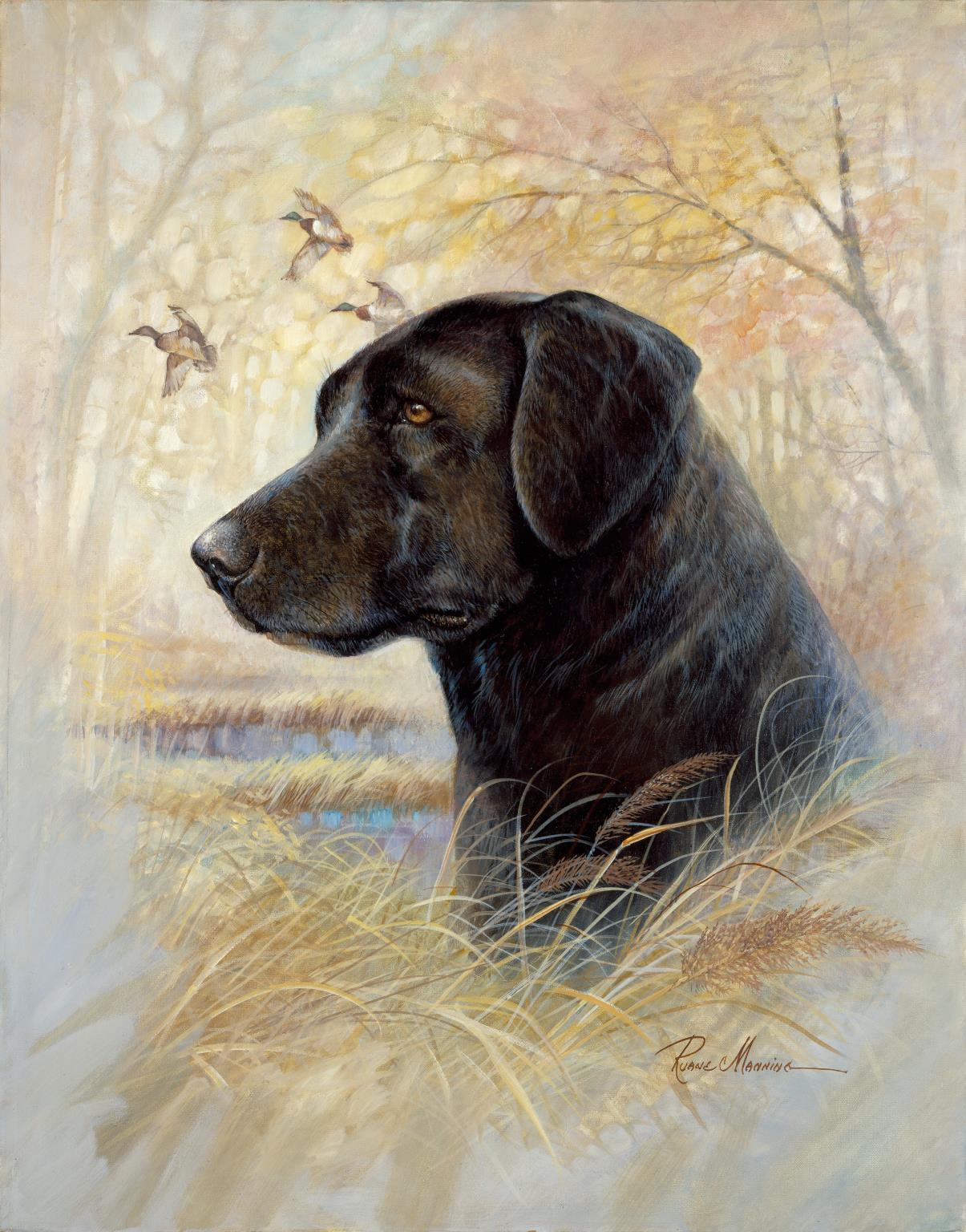 Framed - Devoted Friend By Ruane Manning - Beige