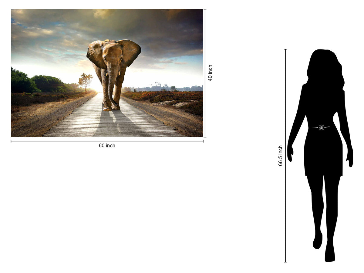Floating Tempered Glass With Foil Elephant On The Road - Dark Gray