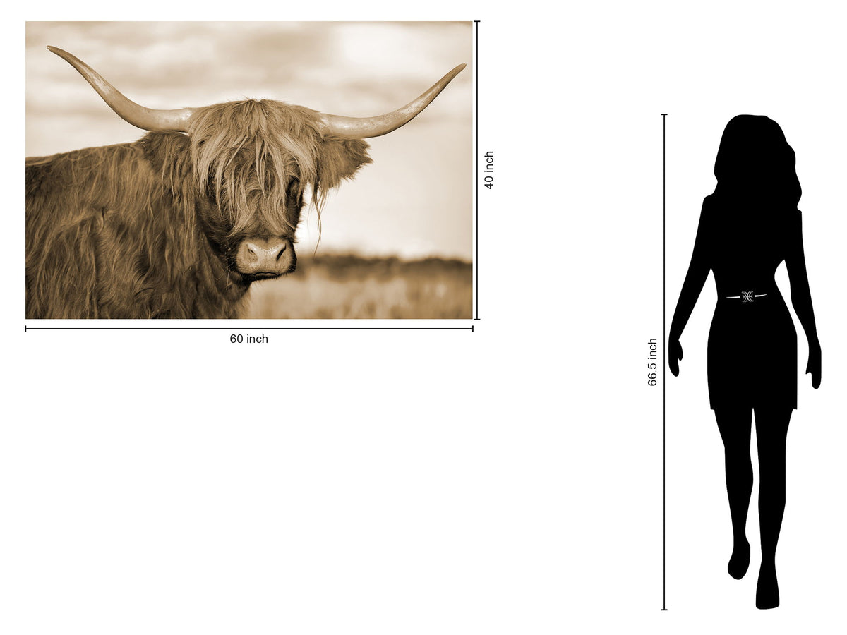 Tempered Glass With Foil - Highland Cow 1 - Light Brown