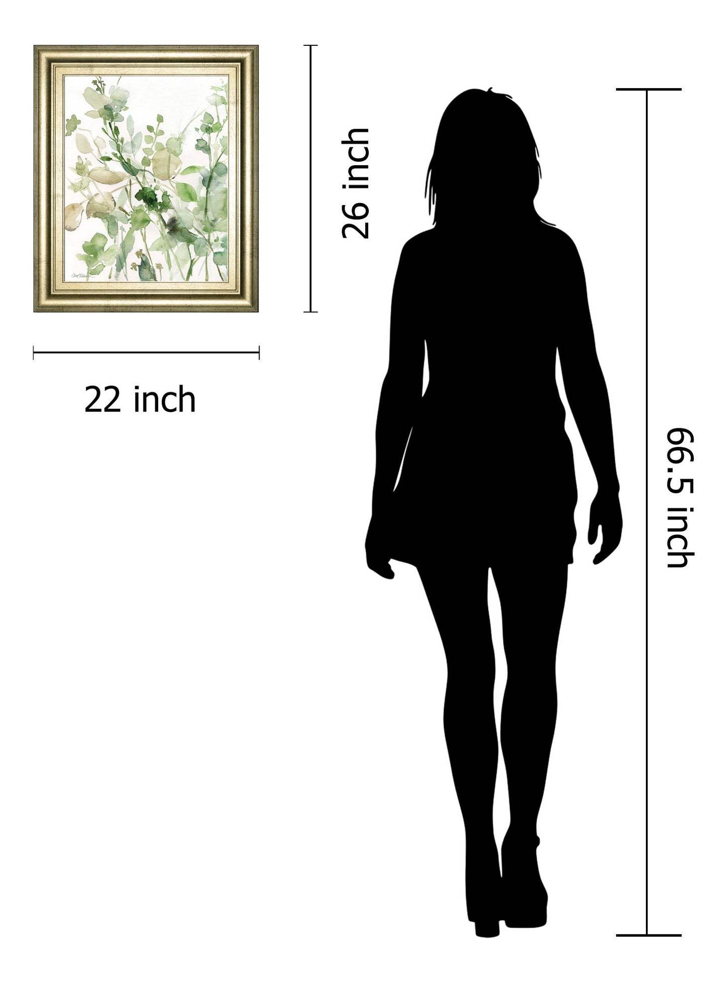 Sage Garden II By Carol Robinson - Framed Print Wall Art - Green