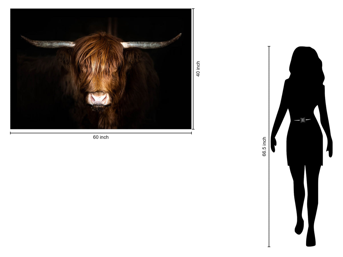 Tempered Glass With Foil Highland Cow on Black - Dark Brown