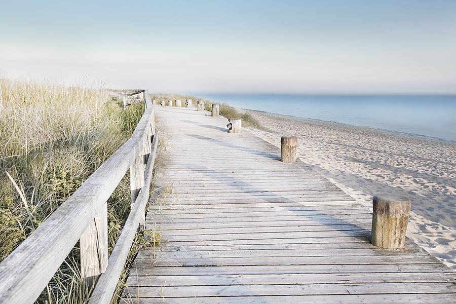 Eternity Boardwalk By Danita Delimont - Gray