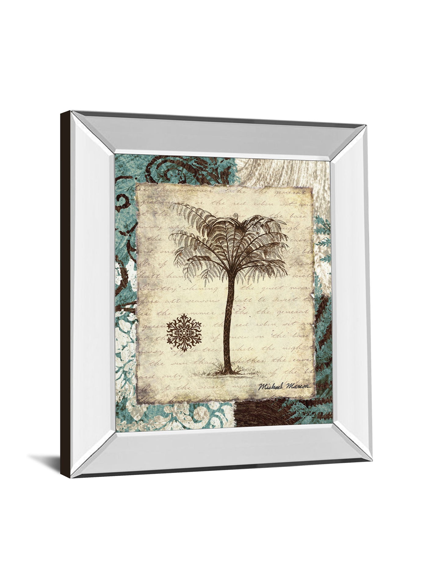 Secret Fern IV By Michael Marcon - Mirror Framed Print Wall Art - Dark Brown