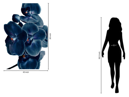 Temp Glass With Foil - Blue Orchid - Blue