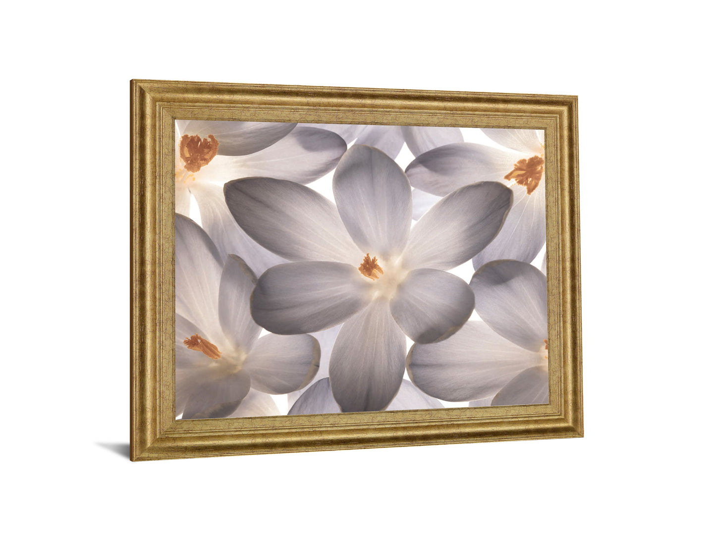 Whispering Blossom - 28" x 34" Framed Wall Art