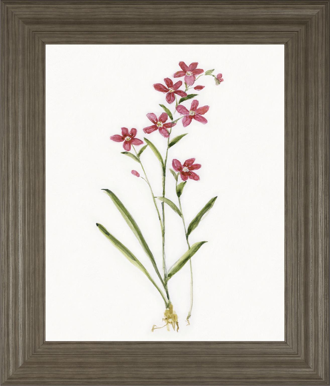 22x26 Delicate Pink I By Sally Swatland - Red