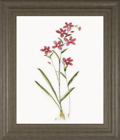 22x26 Delicate I By Sally Swatland - White