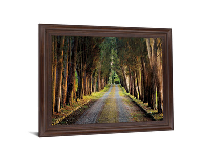 Woodland Passage - 28" x 34" Framed Wall Art
