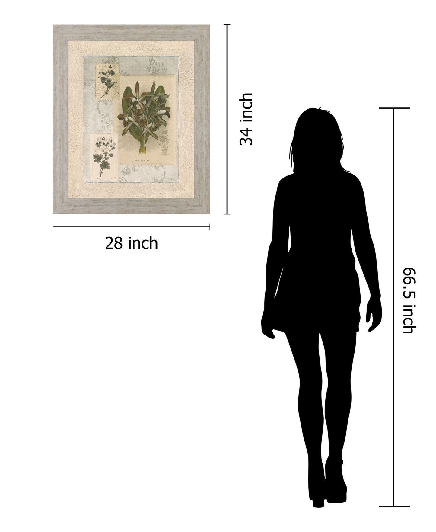 Vintage Botanical - 28" x 34" Framed Wall Art