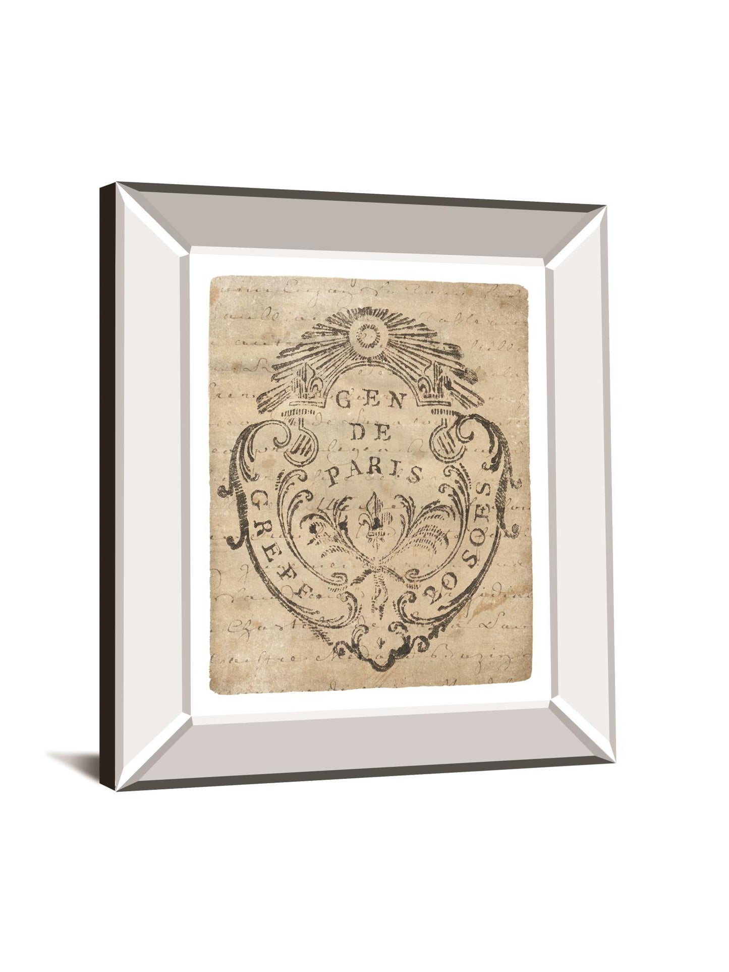 Letter Crest IIa Vintage V2 By Wild Apple Portfolio - Mirror Framed Print Wall Art - Beige