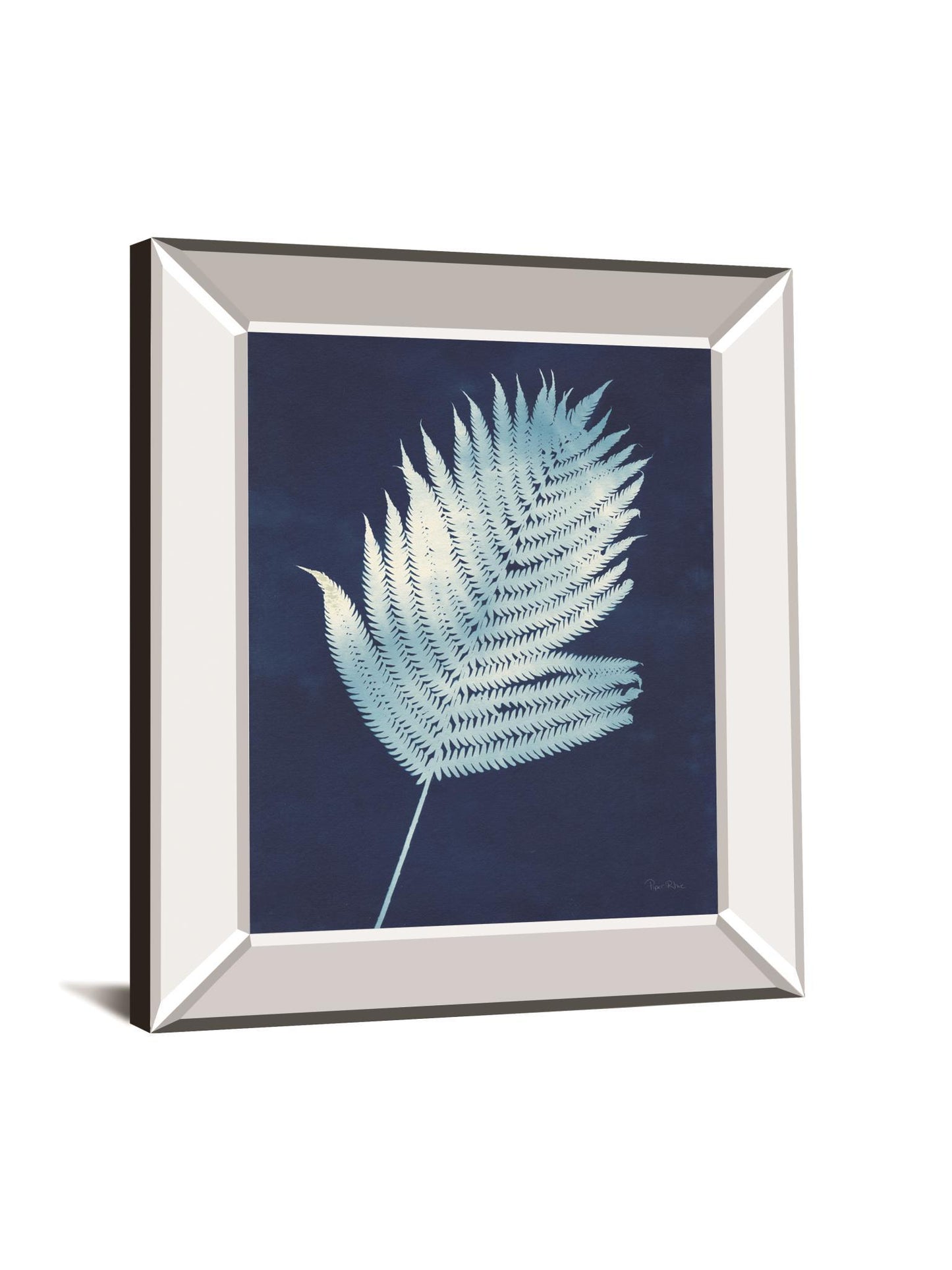 Nature By The Lake Ferns III By Piper Rhue - Mirror Framed Print Wall Art - Blue