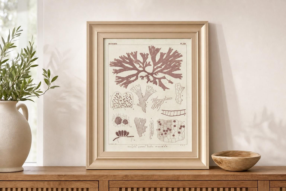 22x26 Antique Coral Seaweed III By Vision Studio - Pink
