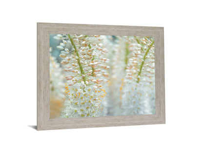 Whispering Blossoms - 28" x 34" Framed Wall Art