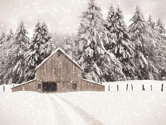 North Country By Lori Deiter - White