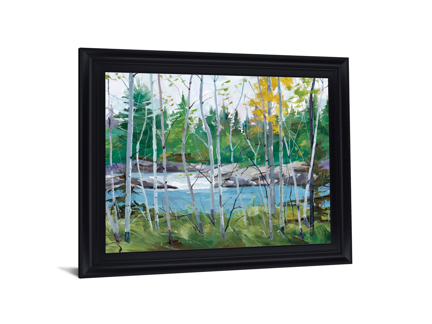 River Birch Vista - 28" x 34" Framed Wall Art