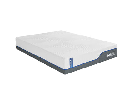 MLILY WellFlex - 3.0 Plush Mattress