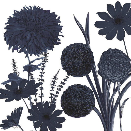 Framed - Shift I By Sophie Six - Dark Gray
