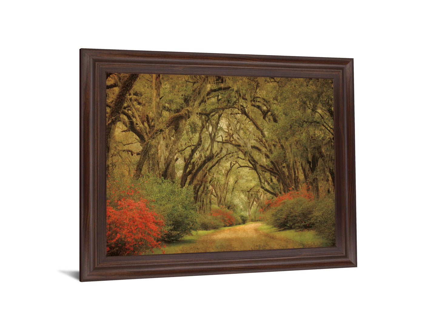 Mossy Woodland Trail - 28" x 34" Framed Wall Art