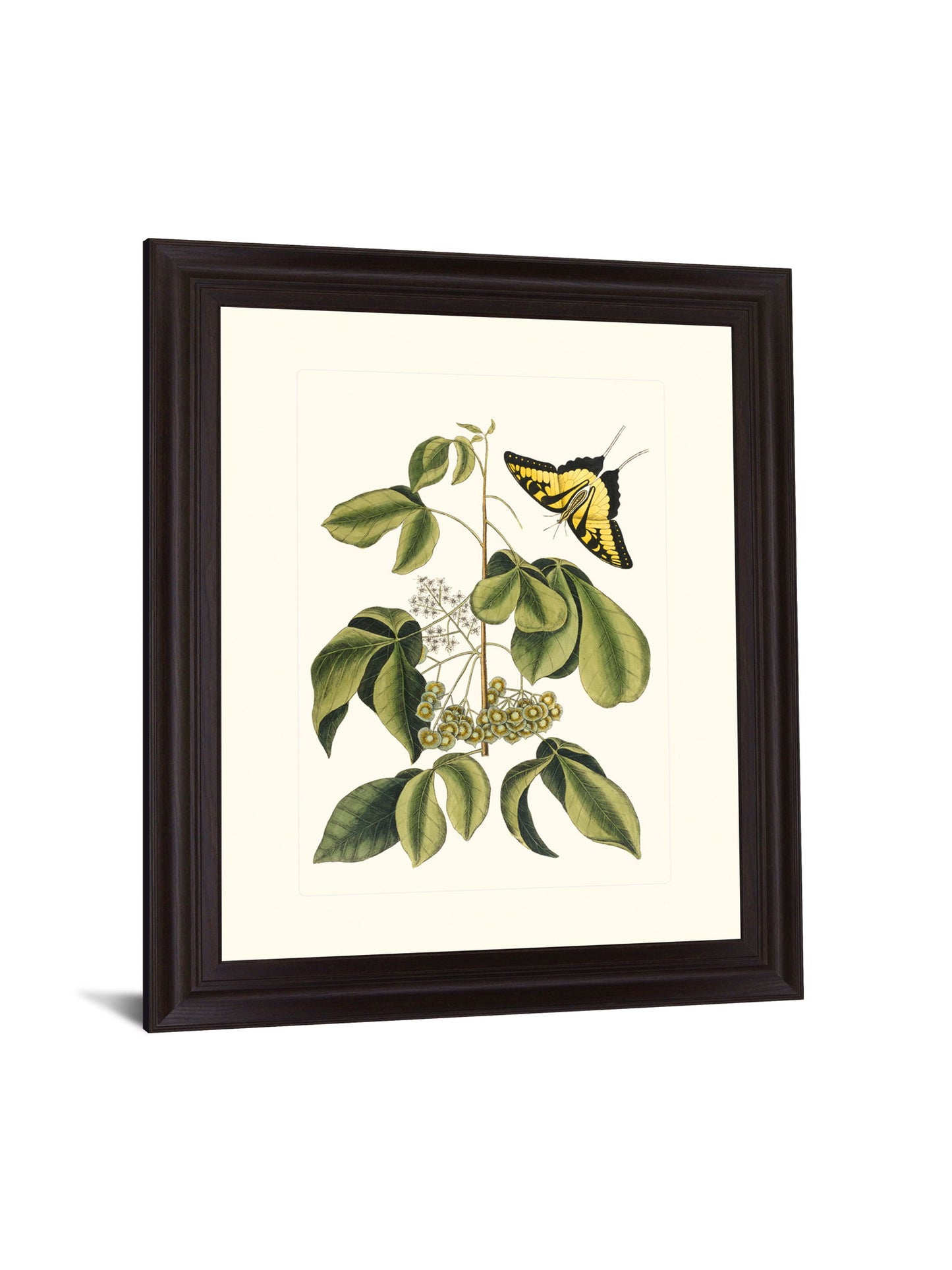 Butterfly Grove - 28" x 34" Framed Wall Art - Green