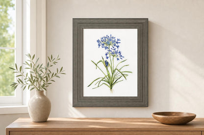 22x26 Lively Botanical I By Sally Swatland - White