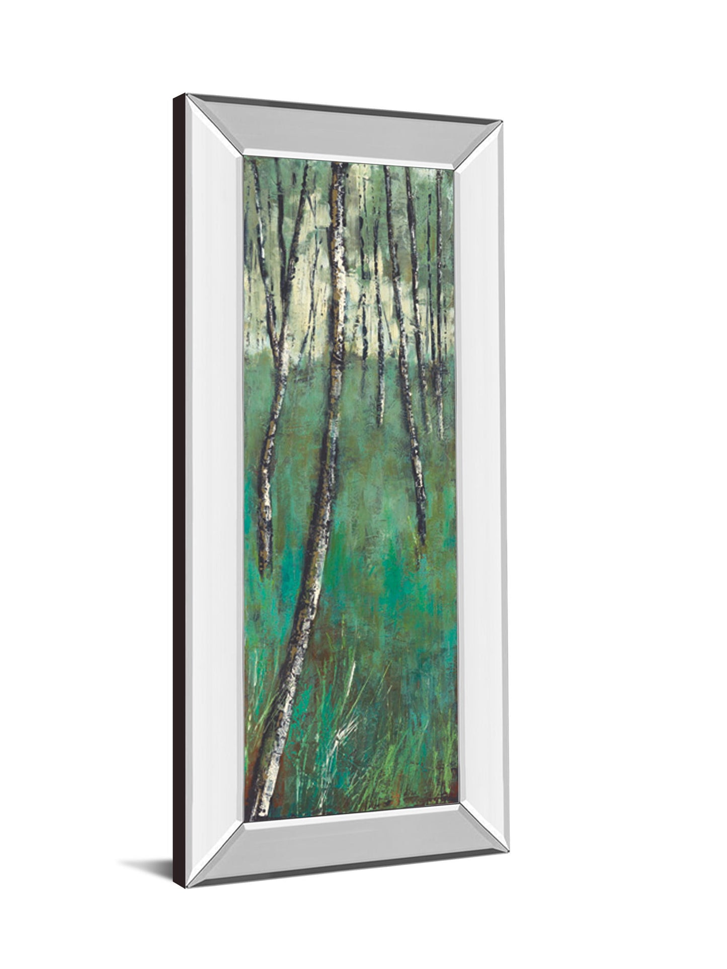 Nature Companion Il By Solis - Mirror Framed Print Wall Art - Blue