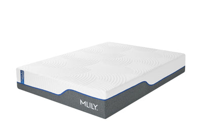 MLILY WellFlex - 3.0 Plush Mattress