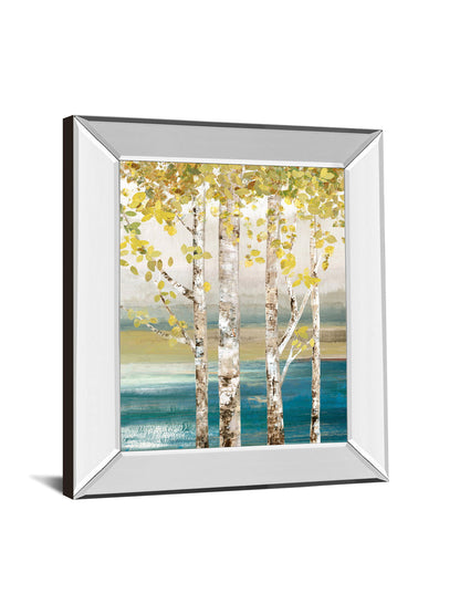 22x26 Down By The River By Allison Pearce - Mirror Framed Print Wall Art - Beige