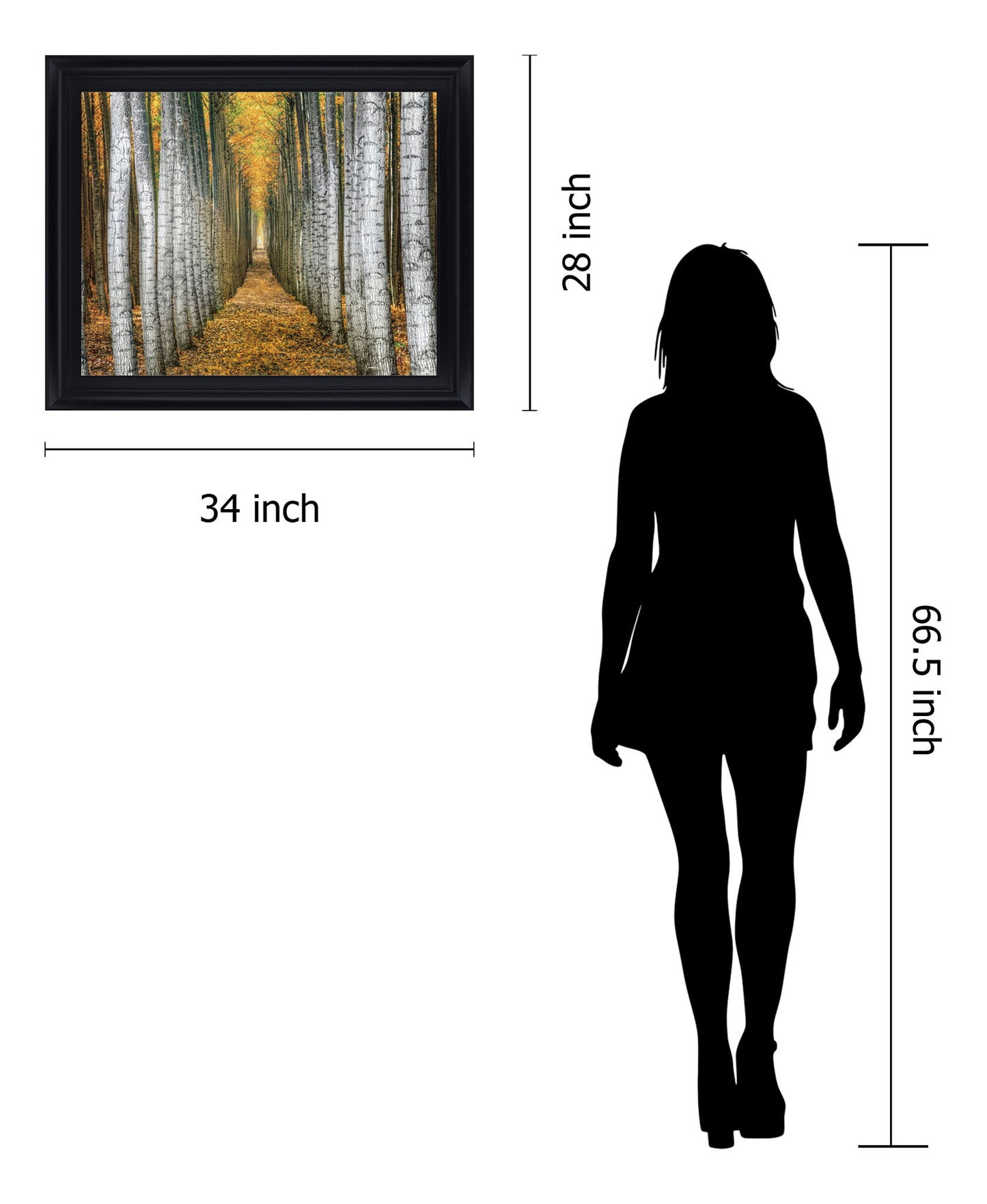 Golden Birch Passage - 28" x 34" Framed Wall Art