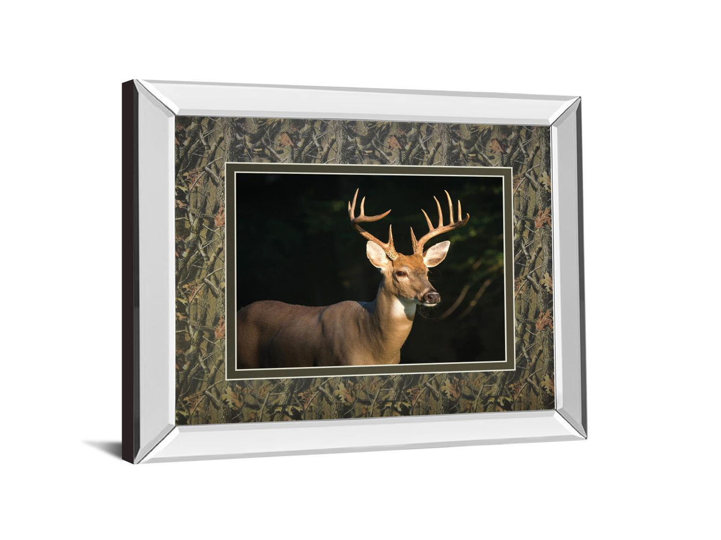 White Tail Buck By Tony Campbell Double Matted - Mirror Framed Print Wall Art - Black