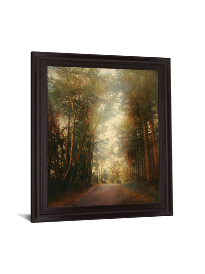 Sunbeam Woodland - 28" x 34" Framed Wall Art