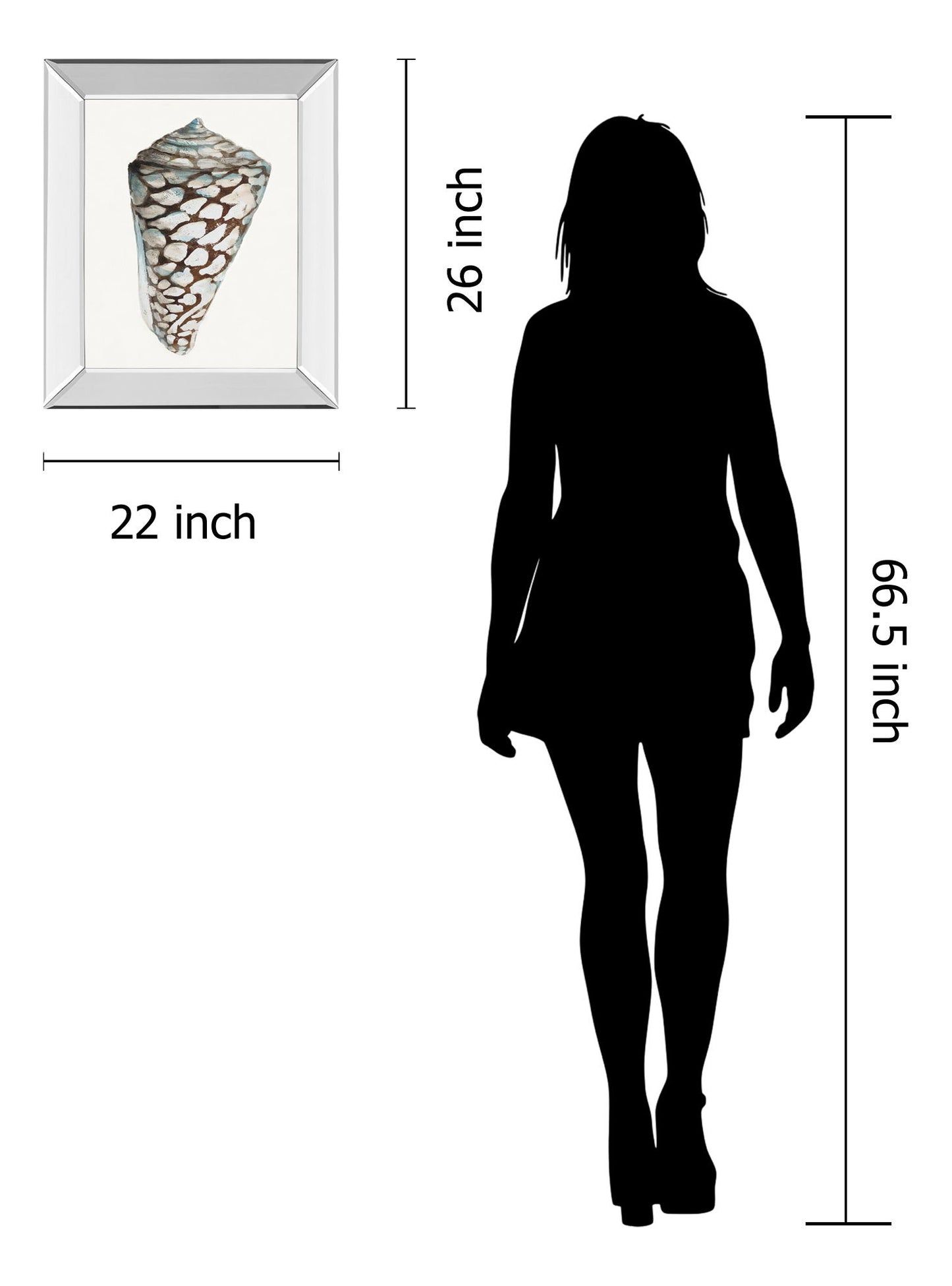 Modern Shell With Teal Il By Patricia Pinto - Mirror Framed Print Wall Art - White