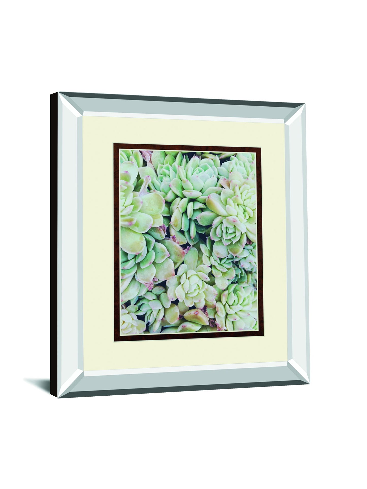 Translucent Succulents By Chelsea Kedron Mirrored Frame - Green