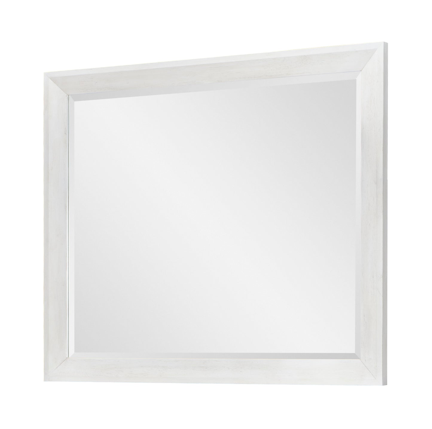 Edgewater Sand Dollar - Mirror - White