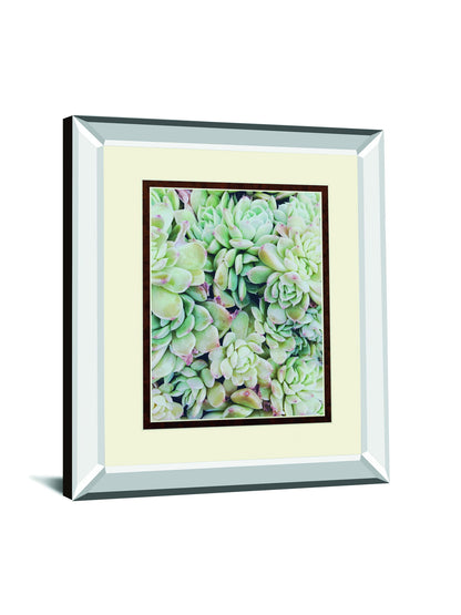 Translucent Succulents By Chelsea Kedron Mirrored Frame - Green