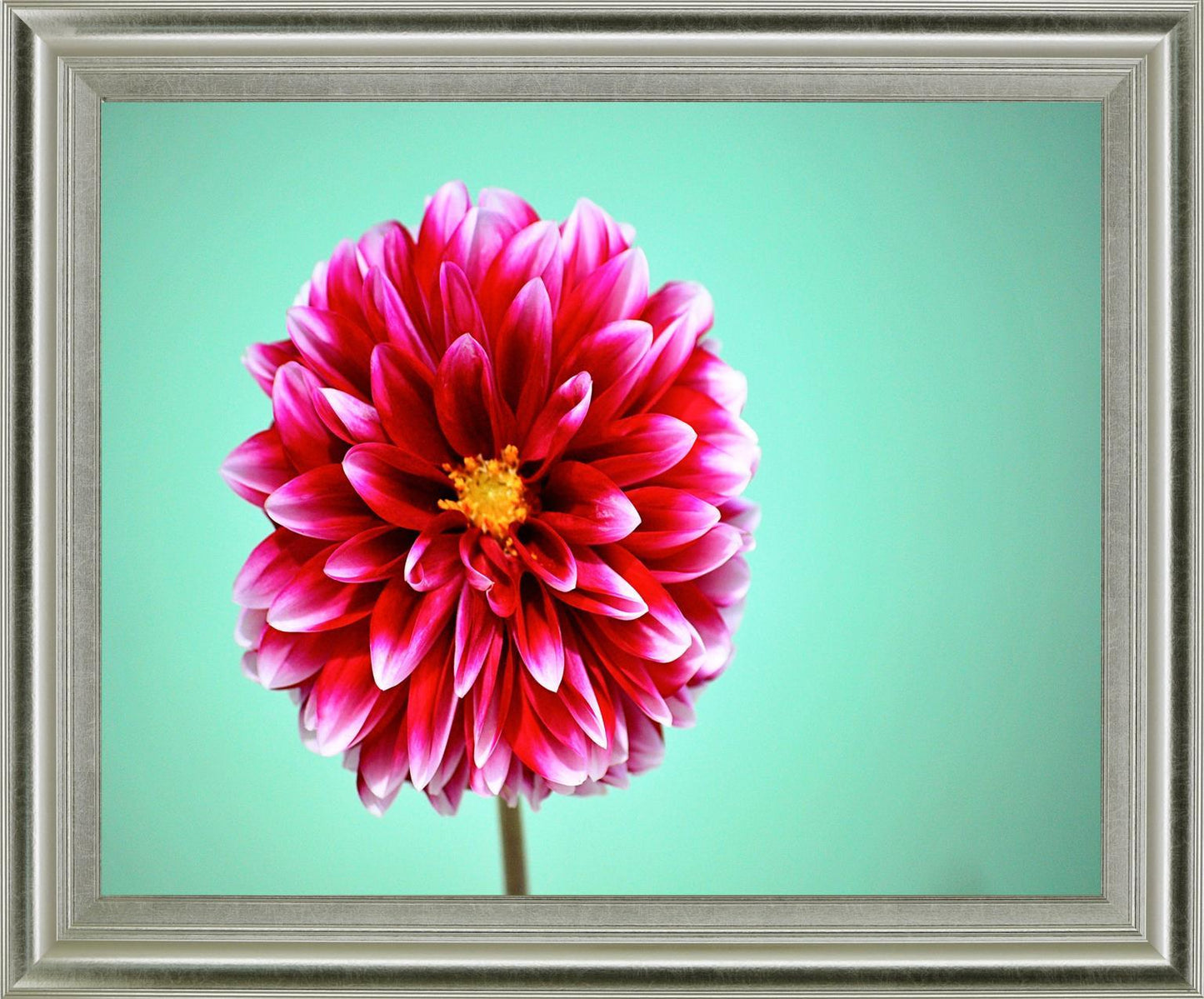 Crimson Radiance - 28" x 34" Framed Wall Art