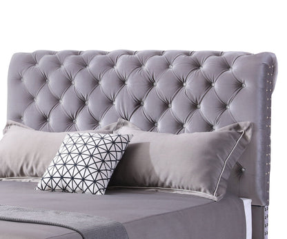 Glory Furniture - Maxx - Tufted Upholstered Bed