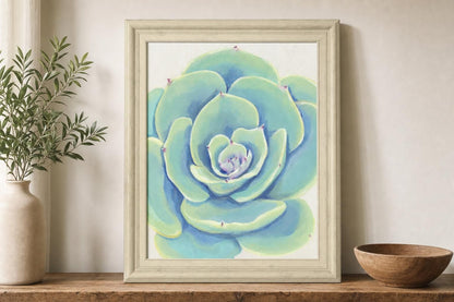 22x26 Pastel Succulent IV By Tim OToole - Light Blue