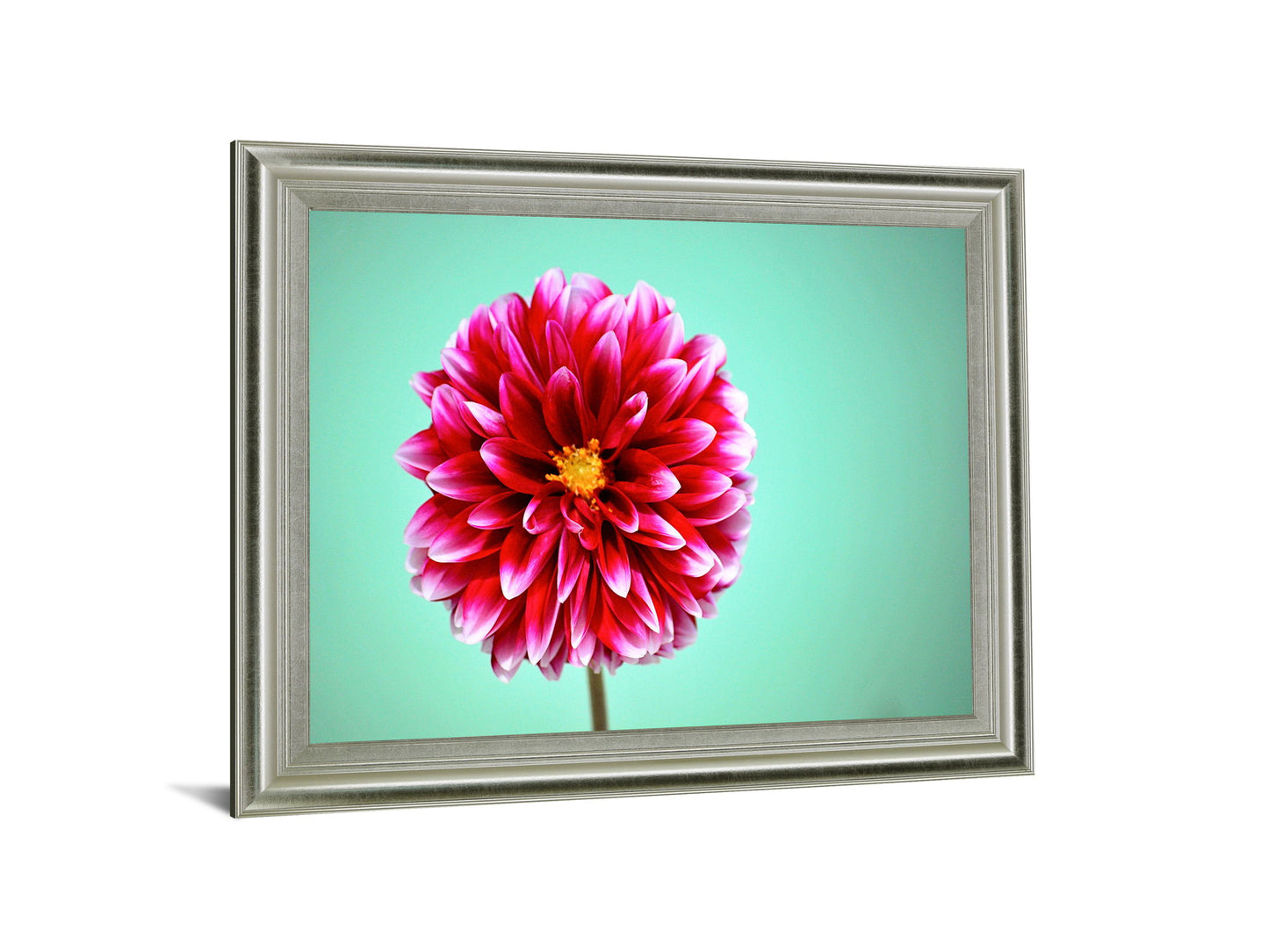 Crimson Radiance - 28" x 34" Framed Wall Art