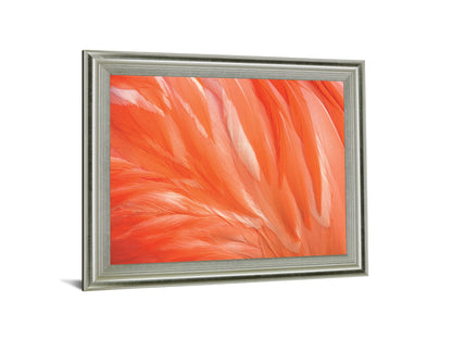 Citrus Plumage - 28" x 34" Framed Wall Art - Orange