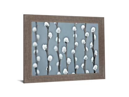 Winter Willow - 28" x 34" Framed Wall Art