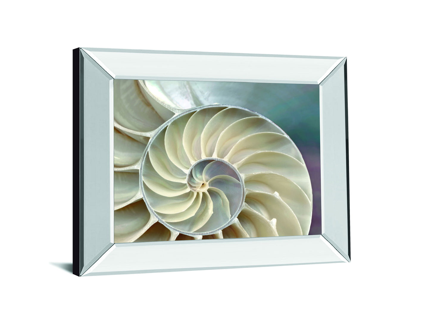 Nautilus By Levine, A. - Mirror Framed Print Wall Art - Beige