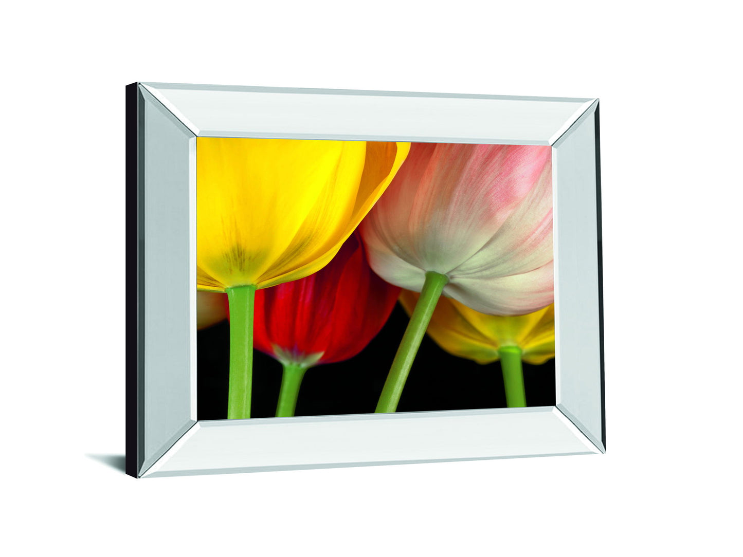 Sunshine Tulips By Frank, A. - Mirror Framed Print Wall Art - Yellow