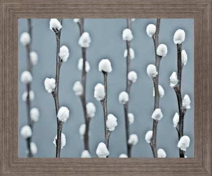 Winter Willow - 28" x 34" Framed Wall Art