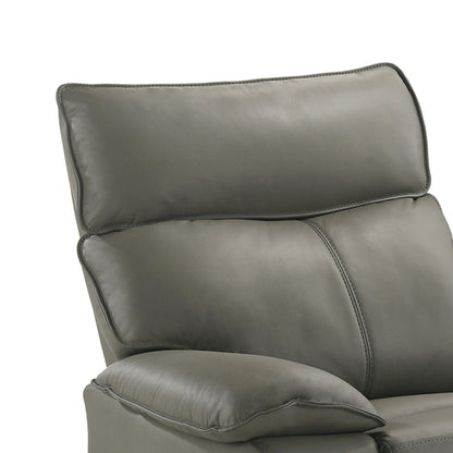 Wildcat - Motion Recliner - Gray