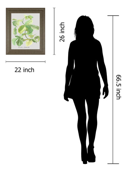 Ficus Carica By Katrien Soeffers - Framed Print Wall Art - Green